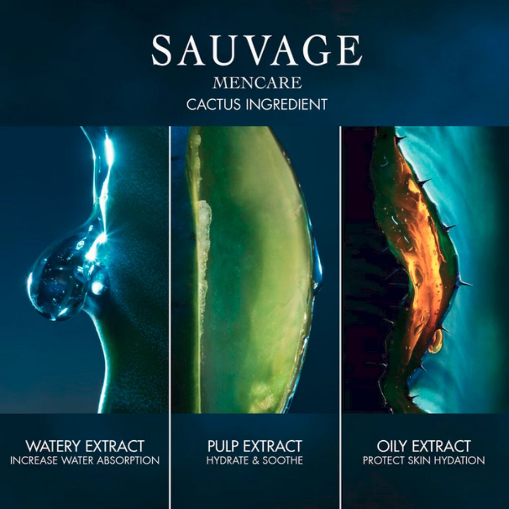 A three-panel image promoting Dior Sauvage Mencare. The left panel shows a clear, glistening drop labeled "WATERY EXTRACT," with text below stating "INCREASE WATER ABSORPTION." The center panel features a vibrant green cactus leaf, or a piece of its pulp, with a drop of liquid on it, labeled "PULP EXTRACT," with text below stating "HYDRATE & SOOTHE." The right panel displays a dark, textured, almost thorny-looking plant part, with a golden, oily sheen, labeled "OILY EXTRACT," with text below stating "PROTEC