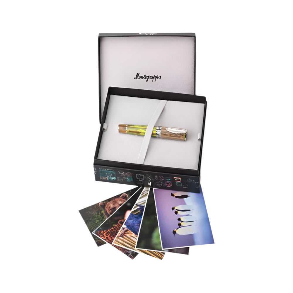 The Packing Box of Montegrappa Baobab Resin Luxury Fountain Pen with 18k Gold Nib