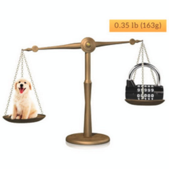 Oasisgalore Heavy Duty Anti-Rust 5-Digit Combination Padlock