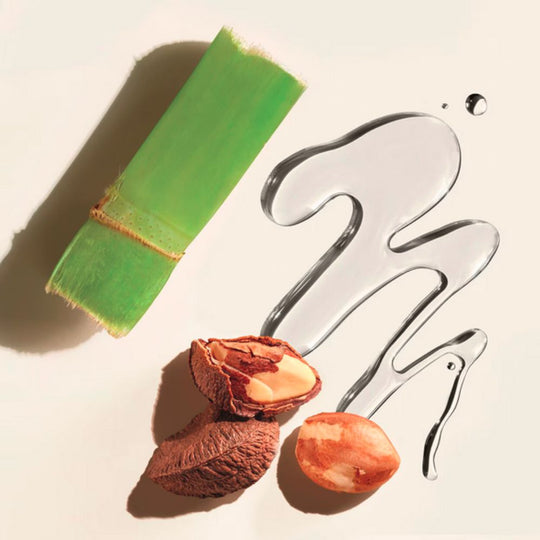 A close-up image showing a piece of green sugarcane stalk, two Brazil nuts in their shells, and a swirl of clear liquid.